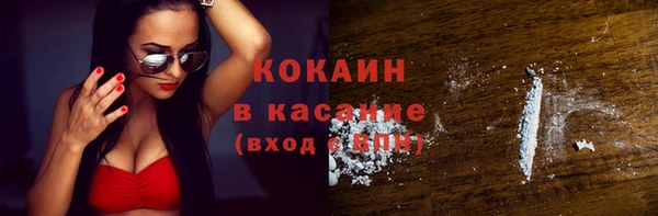 прущие грибы Абинск