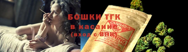 молекула духа Покачи