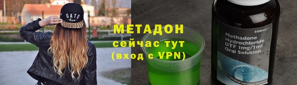 прущие грибы Абинск