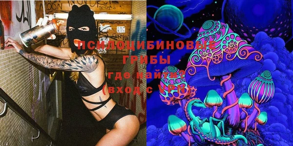 прущие грибы Абинск