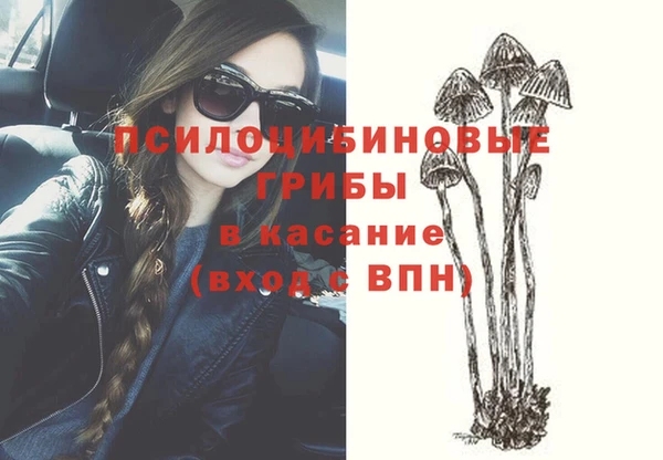 молекула духа Покачи