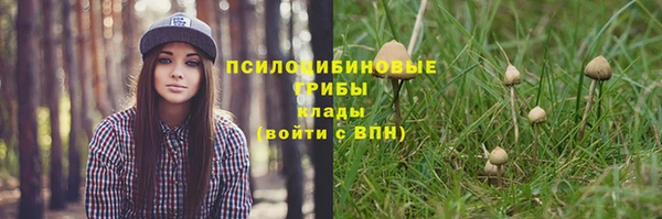 spice Абдулино
