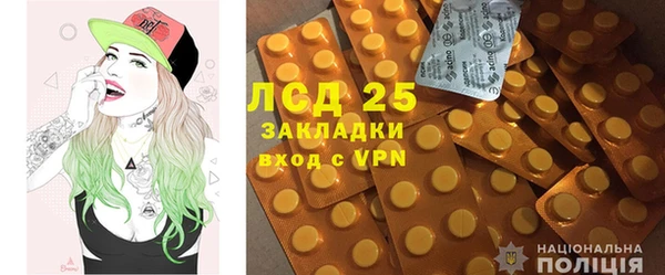прущие грибы Абинск
