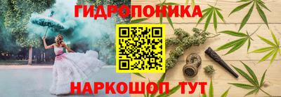 СК Канаш