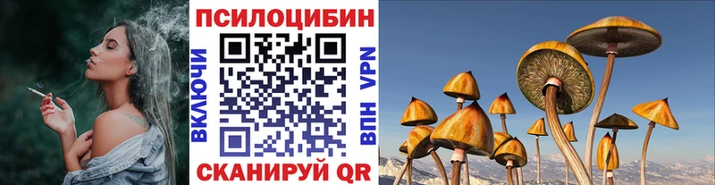 Галлюциногенные грибы Psilocybe Лабинск