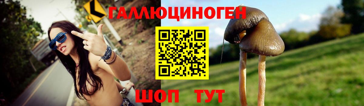 Псилоцибиновые грибы мухоморы  Вход с VPN  Псилоцибиновые грибы Cubensis  Лабинск 